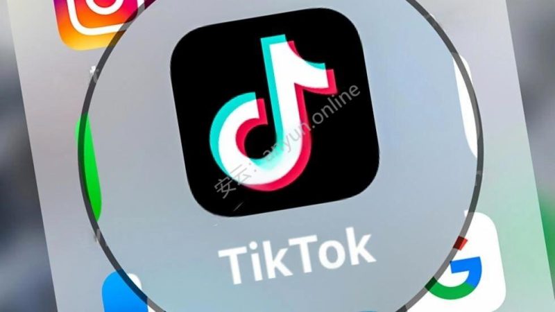 TikTok垂直细分领域逆袭:精准策略实现弯道超车-教程导航