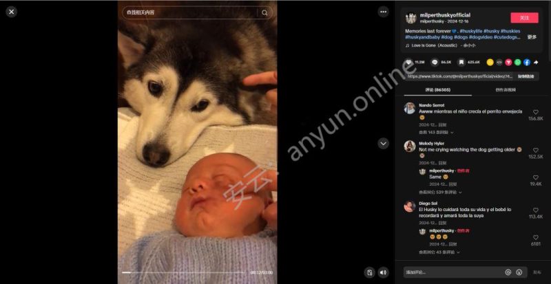 TikTok引爆宠物经济:PetDroid智能玩具球背后的机遇与应对策略-教程导航