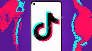 TikTok 新手选品类目与易涨粉类型全指南-教程导航