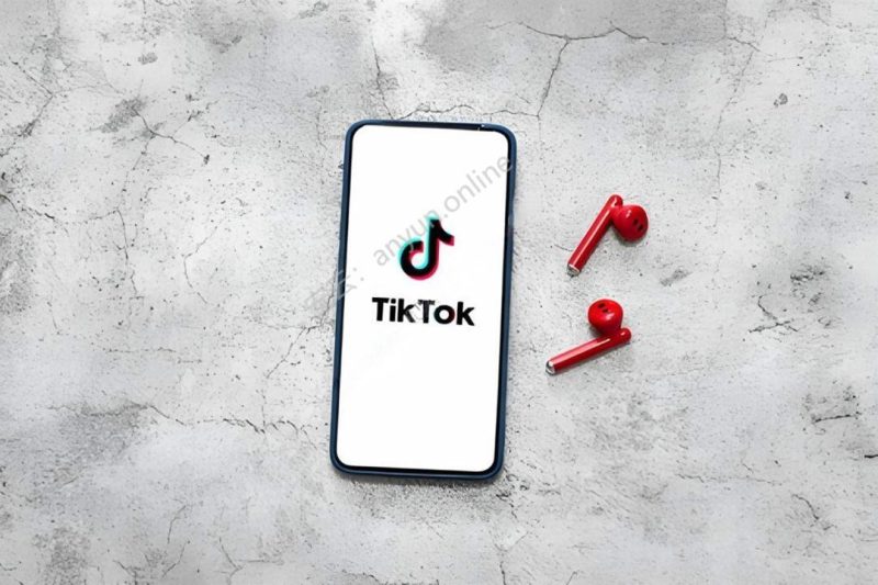 TikTok破圈指南：小众品牌在新蓝海脱颖而出的实战秘籍-教程导航