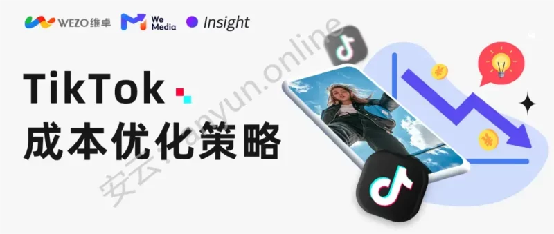 TikTok 广告预算优化指南:3种解决方法+5个专家建议-教程导航