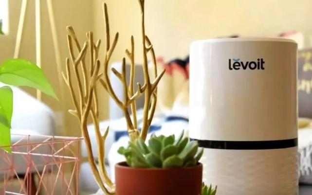 深圳加湿器品牌Levoit海外爆卖：月销4700万美元产品双驱动策略-教程导航