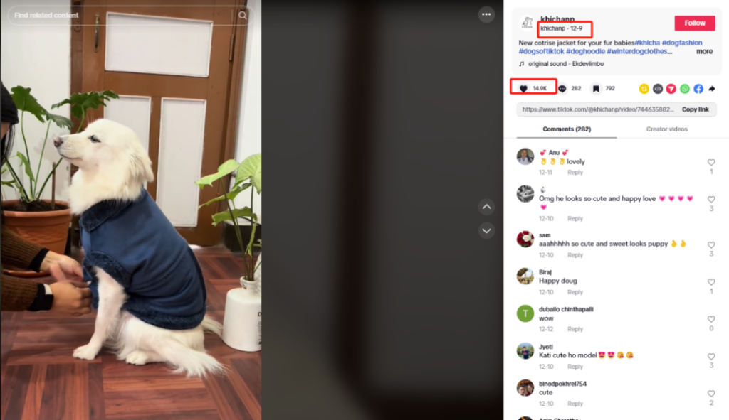 年入千万美金！ 小众宠物用品在海外爆火出圈！-教程导航